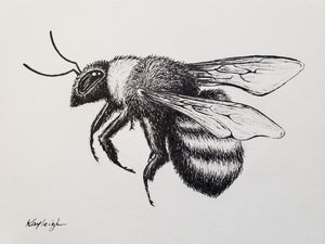 Bumble Bee-Original